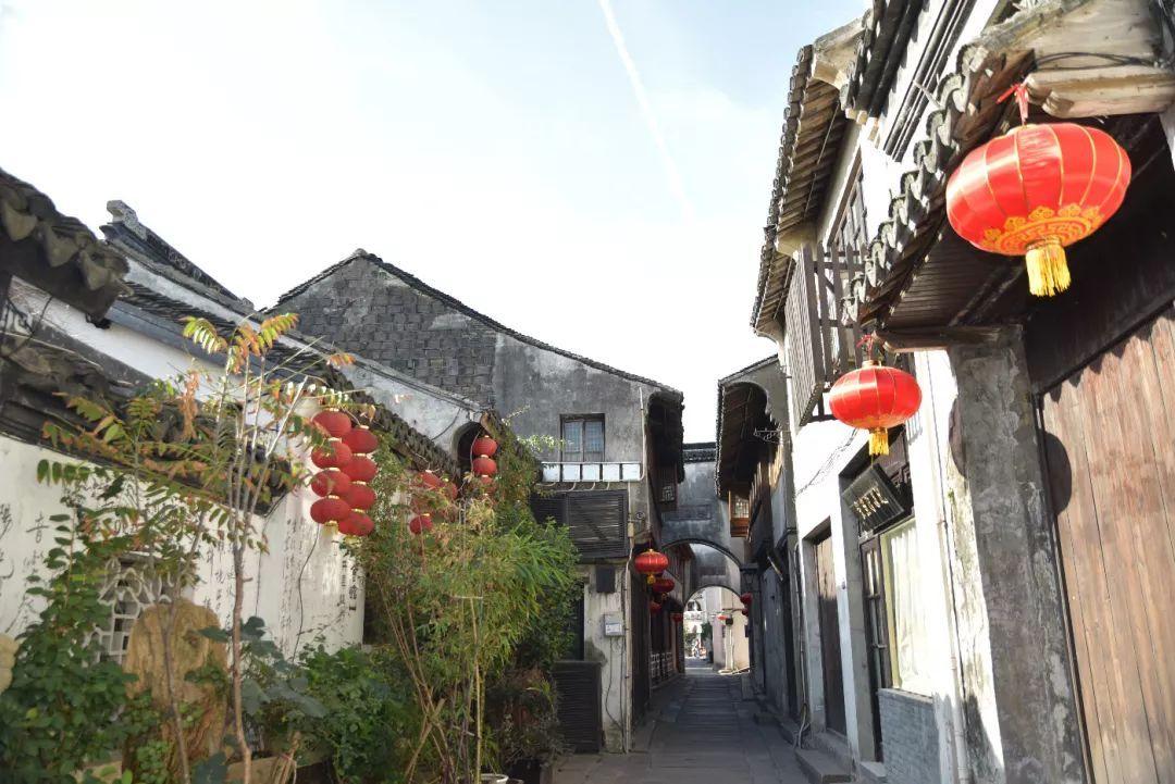 动物帮帮忙保卫家园